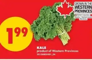 No Frills Kale offer