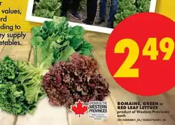 No Frills Romaine, green or red leaf lettuce offer