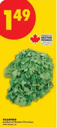 No Frills Cilantro offer