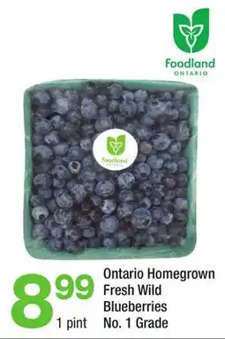 Highland Farms Foodland Ontario Fresh Wild Blueberries offer