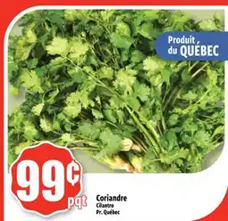 Bonanza Coriandre offer
