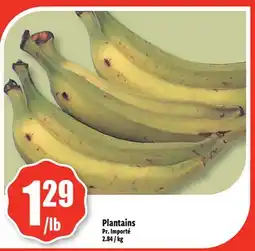 Bonanza Plantains offer