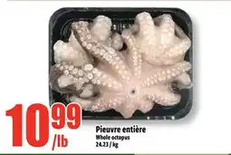 Bonanza Pieuvre entière offer