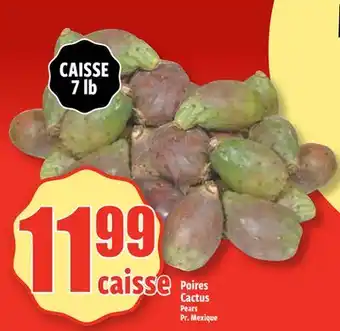 Bonanza Poires Cactus offer