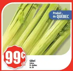 Bonanza Céleri offer