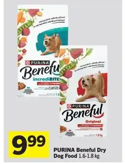 Foodland PURINA Beneful Dry Dog Food offer