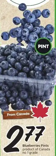 Sobeys Blueberries Pints offer