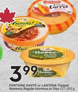 Sobeys FONTAINE SANTÉ or LANTANA Topped Hummus, Regular Hummus or Dips offer