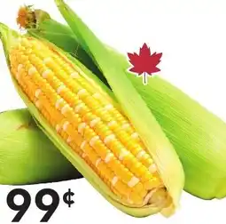 Sobeys Corn offer