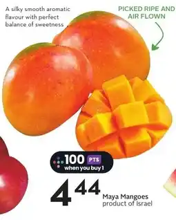 Sobeys Maya Mangoes offer