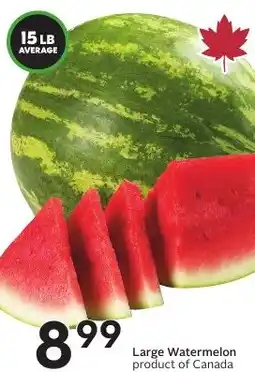 Sobeys Large Watermelon offer