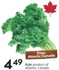 Sobeys Kale offer