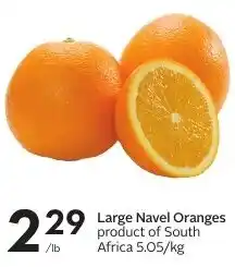 Sobeys Large Navel Oranges offer