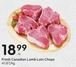Sobeys Fresh Canadian Lamb Loin Chops offer