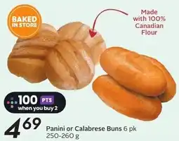 Sobeys Panini or Calabrese Buns offer