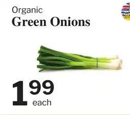 Village Food Markets Organic Green Onions offer