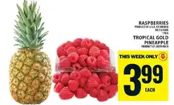 Food Basics Tropical Gold Pineapple offer