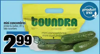 Super C mini concombres offer