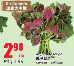 Btrust Supermarket Amarante rouge offer