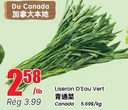 Btrust Supermarket Liseron D'Eau Vert offer