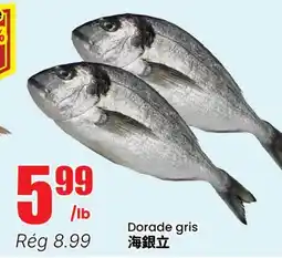 Btrust Supermarket Dorade gris offer