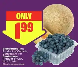 FreshCo Blueberries offer