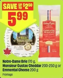 FreshCo Notre-Dame Brie offer