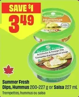 FreshCo Summer Fresh Dips, Hummus offer