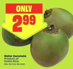 FreshCo Water Coconuts offer