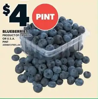 Independent Grocer Blueberries offer