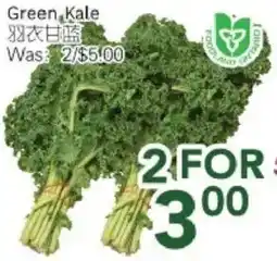 Ample Food Market Green Kale offer