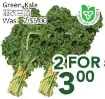 Ample Food Market Green Kale offer