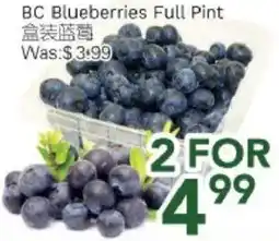 Ample Food Market BC Blueberries Full Pint offer