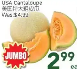 Ample Food Market USA Cantaloupe offer