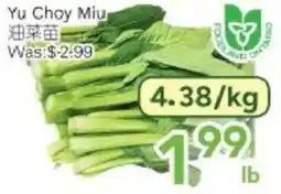 Ample Food Market Yu Choy Miu offer