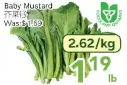 Ample Food Market Baby Mustard offer