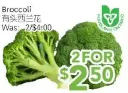 Ample Food Market Broccoli offer