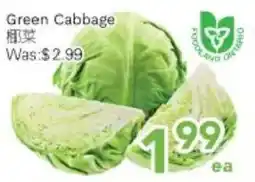 Ample Food Market Green Cabbage offer