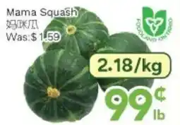Ample Food Market Mama Squash offer