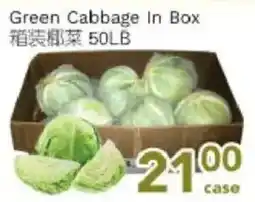 Ample Food Market Green Cabbage In Box offer