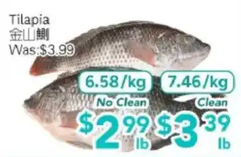Ample Food Market Tilapia offer