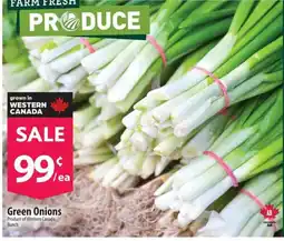 Co-op Green Onions offer