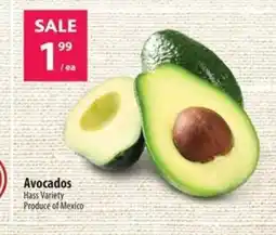 Co-op Avocados offer