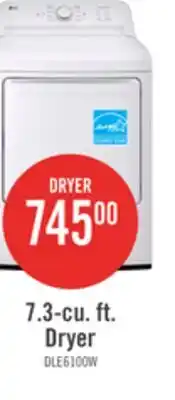 The Brick LG 7.3 Cu. Ft. Electric Dryer - White - DLE6100W offer