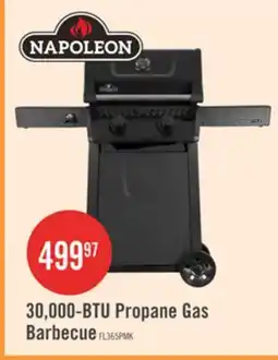 The Brick Napoleon 365 30,000-BTU 2-Burner Propane Gas Grill - FL365PMK-1 offer