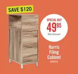 The Brick Harrison 15.75 2-Drawer Filing Cabinet - Kiln Acacia offer