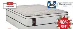 The Brick Sealy Posturepedic Plus Alora Eurotop Plush Queen Mattress offer