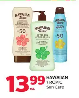 Rexall HAWAIIAN TROPIC Sun Care offer