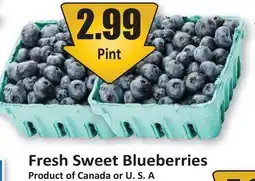 Starsky Fresh Sweet Blueberries offer