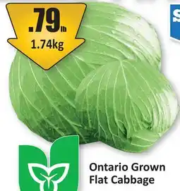 Starsky Ontario Grown Flat Cabbage offer